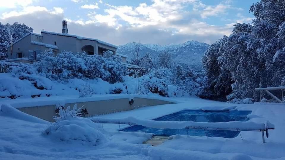 Gites San Austinu Petreto-Bicchisano Εξωτερικό φωτογραφία