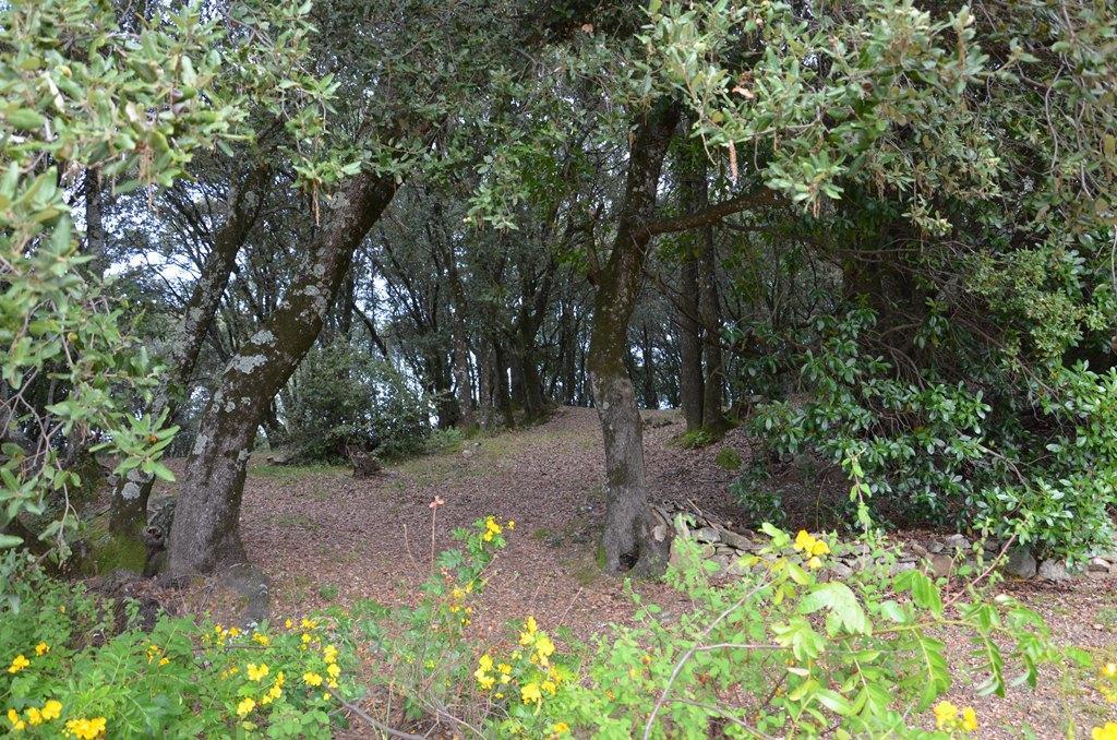 Gites San Austinu Petreto-Bicchisano Εξωτερικό φωτογραφία